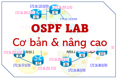 Hướng dẫn thực hành giao thức OSPF